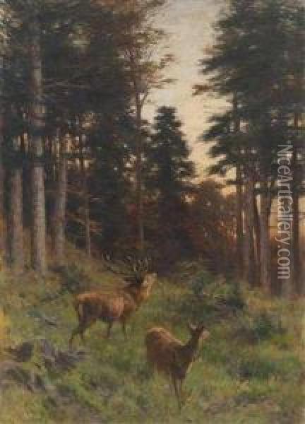 Red Deer At Twilight Oil Painting - Franz Xavier Von Pausinger