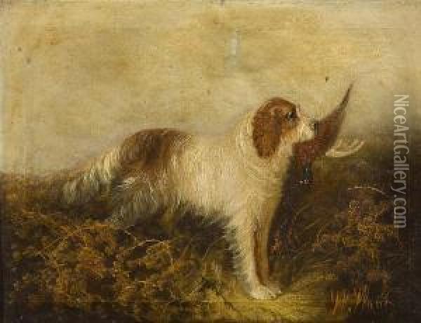 Spaniel And Pheasant Oil Painting - Andrew W. Warren