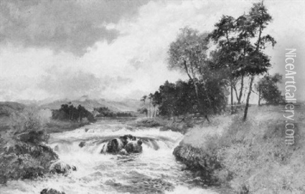 A Burn In The Scottish Highlands Oil Painting - William Manners