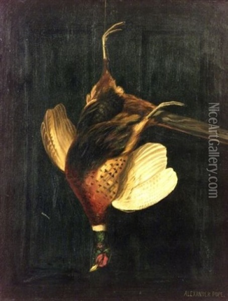 Pheasant (+ Woodcock; 2 Works) Oil Painting - Alexander Pope