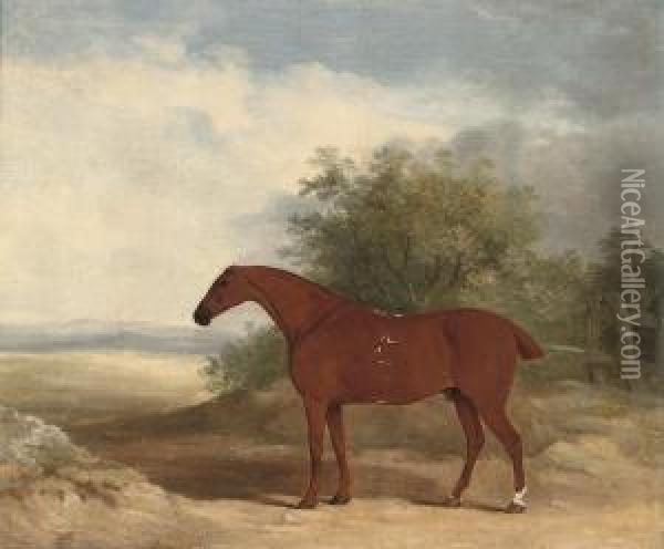 A Racehorse In A Landscape Oil Painting - James Barenger