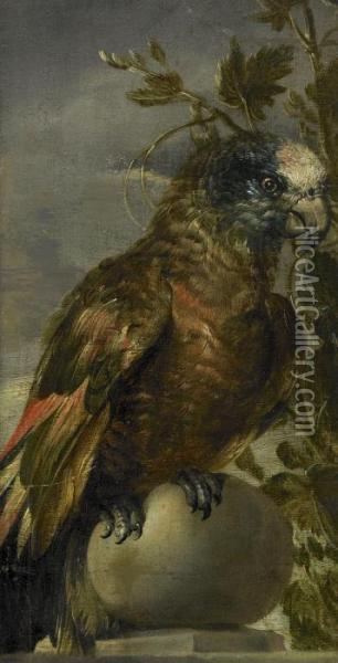 Papegoja - Fragment Oil Painting - Frans Snyders