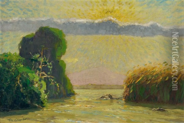 Im Sonnenglast Am Ostafrikanischen Fluss Oil Painting - Wilhelm Friedrich Kuhnert