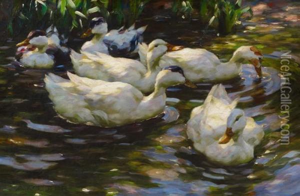 Ducks In The Reeds Oil Painting - Alexander Max Koester