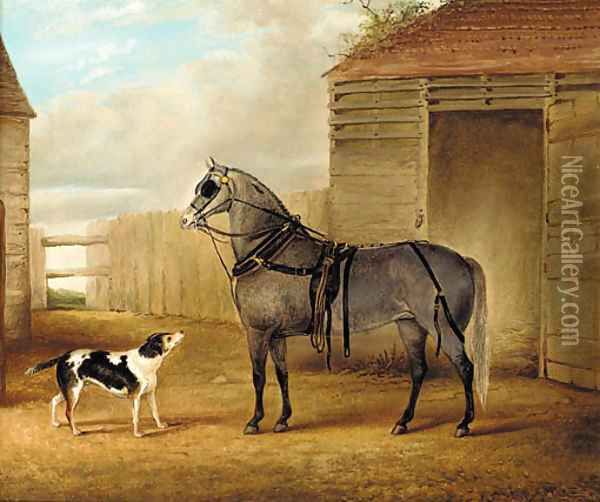 A saddled grey horse and a dog by a barn Oil Painting - John Vine
