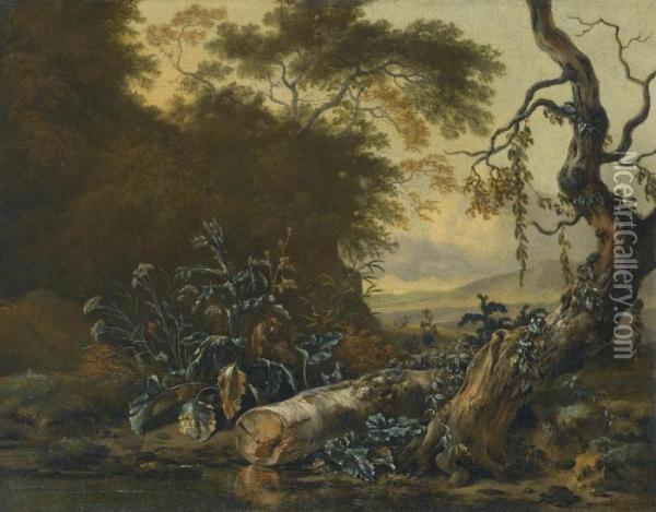 A Landscape With Trees And Foliage Beside The Edge Of A Pond Oil Painting - Jan Wijnants