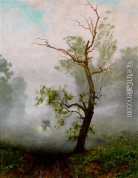 Nebel Im Prater Oil Painting - Josef Danilowatz