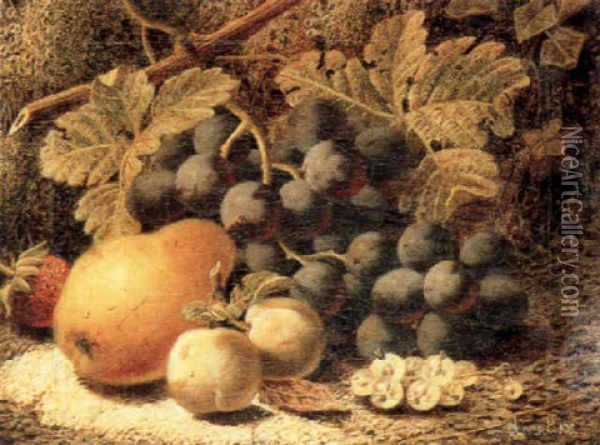 Still Life With Grapes, Plums, A Pear And Other Fruit On A Mossy Bank Oil Painting - Oliver Clare
