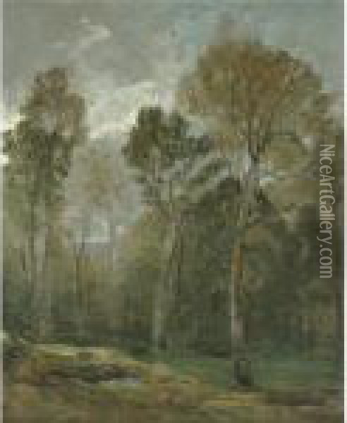 View Of A Copse Oil Painting - John Constable