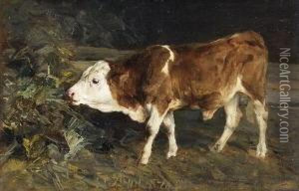 Junger Bulle Auf Einer
 Wiese Oil Painting - Heinrich Johann Von Zugel