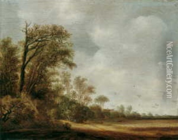 Sommerliche Dunenlandschaft Oil Painting - Pieter Jansz van Asch