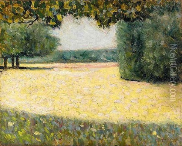 Le Champ Fauve Oil Painting - Charles Angrand