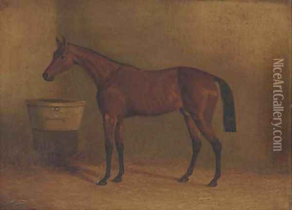 Musjid, winner of the Derby 1859 Oil Painting - John Frederick Herring