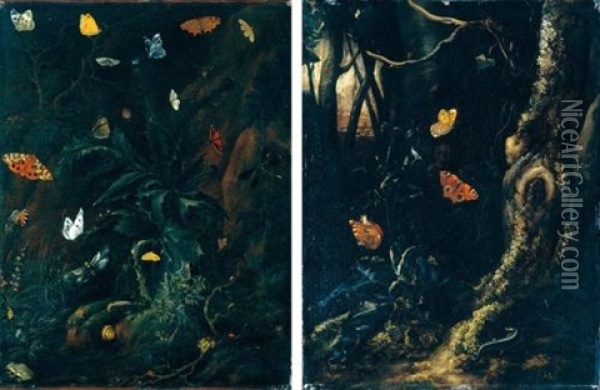 Nature Morte Con Farfalle, Ramarro, Ranocchia, Lumaca, In Un Bosco (pair, 1 Oil On Canvas) Oil Painting - Otto Marseus van Schrieck