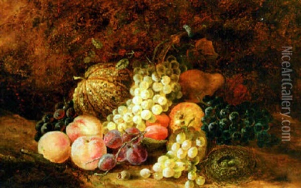 Still Life With Fruit And Bird's Nest Oil Painting - Thomas Whittle the Elder