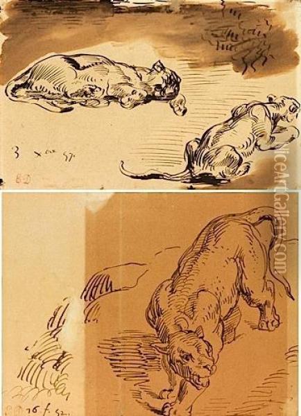 Deux Feuilles Dans Un Montage : Deux Lionnes Et Une Lionne Oil Painting - Eugene Delacroix