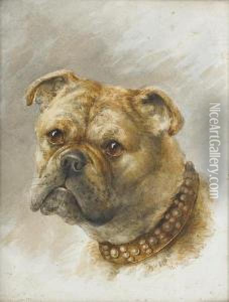 Head Of A Bulldog Oil Painting - Lewis Henry Meakin