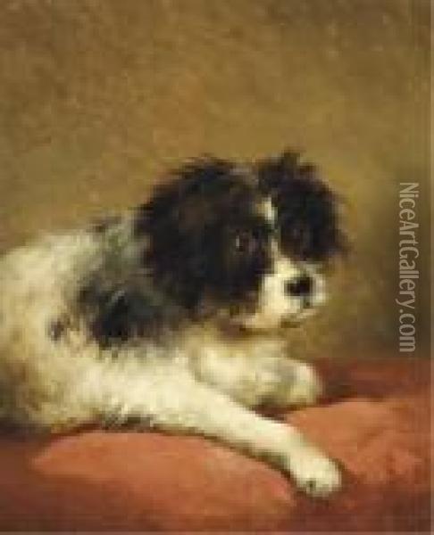 Best Friend: Portrait Of A Dog Oil Painting - Andreas Schelfhout