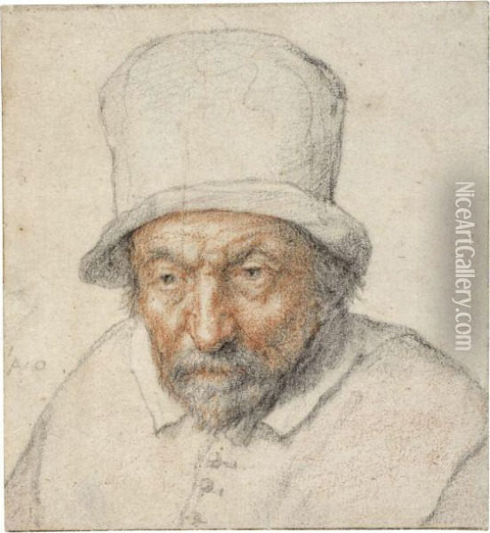 A Study Of A Bearded Man Wearing A Hat Oil Painting - Adriaen Jansz. Van Ostade