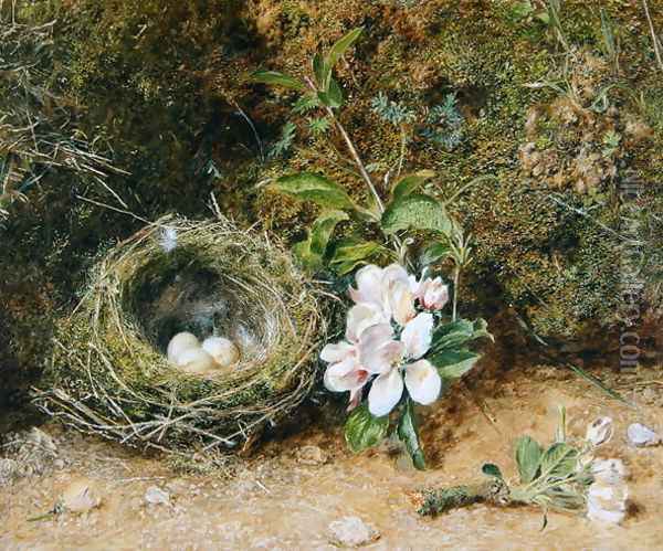Birds Nest with Sprays of Apple Blossoms Oil Painting - William Henry Hunt