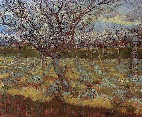 Apricot Trees In Blossom II Oil Painting - Vincent Van Gogh