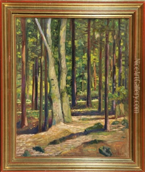 Waldinneres Im Sonnenlicht Oil Painting - Paul Bach