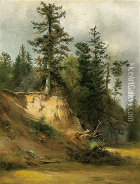 Felsen Mit Baumen Bei Einem Bach Oil Painting - Friedrich Gauermann
