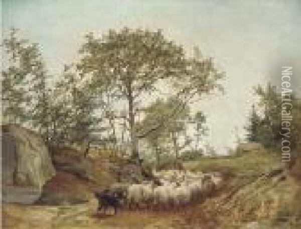 Counting The Sheep Oil Painting - Arthur James Stark
