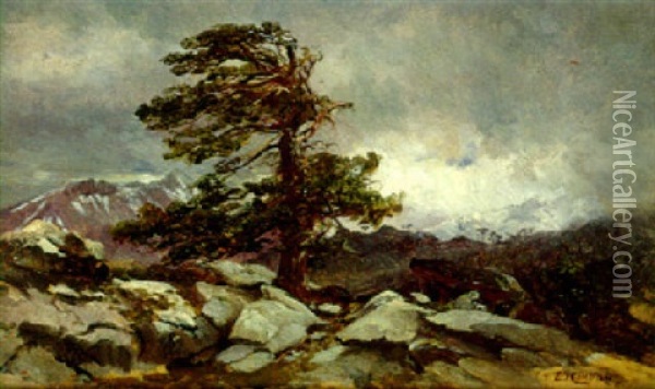 Von Sturm Gepeitschter Gipfel Oil Painting - Edward Theodore Compton
