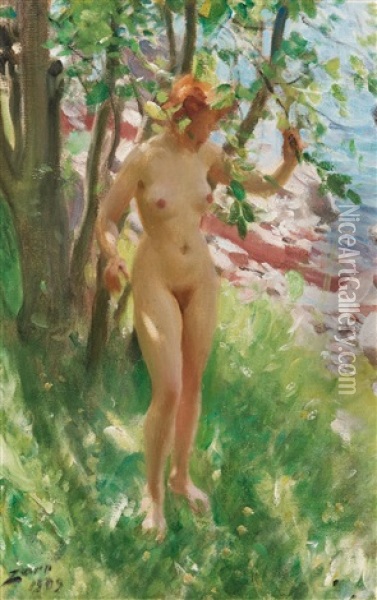 Skuggan Oil Painting - Anders Zorn