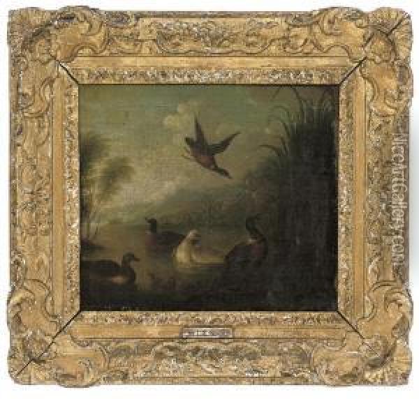 Ducks And Ducklings On A Pond Oil Painting - Marmaduke Cradock