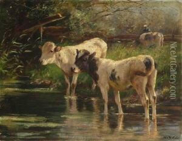 Jungrinder Am Wasser. Oil Painting - Johann Daniel Holz