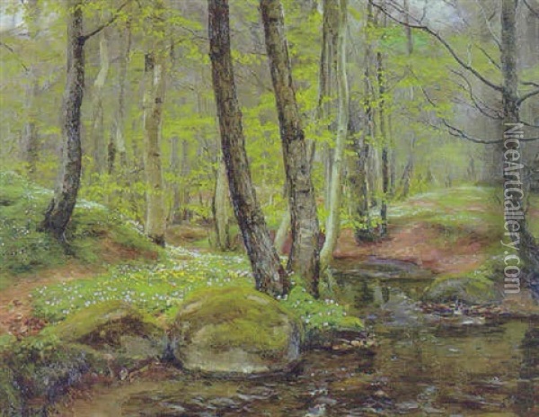 En Forarsdag I Skoven, Anemonerne Blomstrer Oil Painting - Hans Andersen Brendekilde