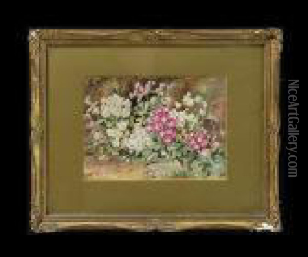 Spring Blossoms Oil Painting - William Cruickshank