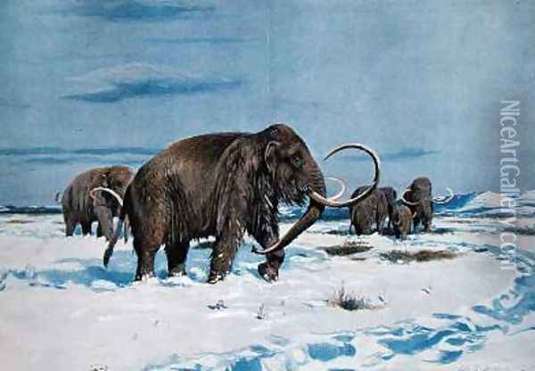 Troop of mammoths in the Ice Age Oil Painting - Wilhelm Kuhnert