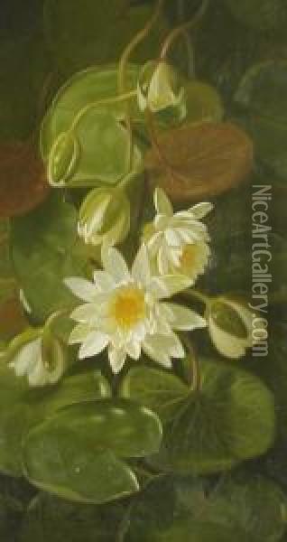 Still Life Withwater Lilies Oil Painting - Edward Chalmers Leavitt