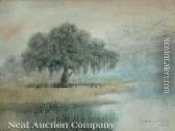 Louisiana Bayou Country Oil Painting - Alexander John Drysdale