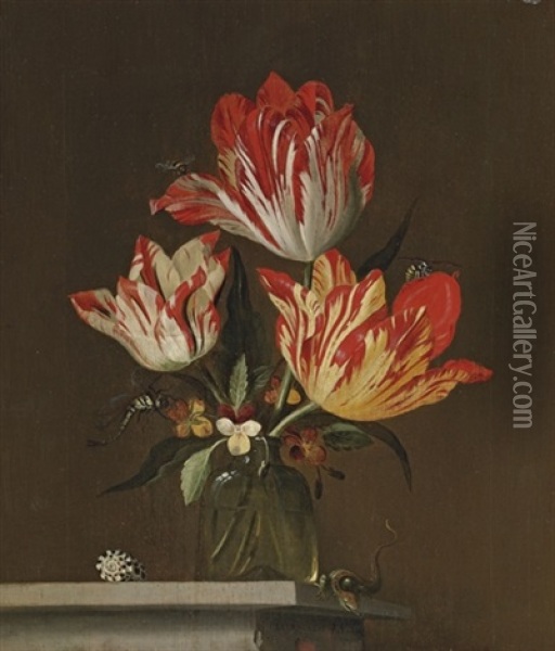 Tulips And Violets In A Vase, With A Shell, A Lizard, A Dragonfly, A Bee And A Wasp, On A Ledge Oil Painting - Jacob Marrel