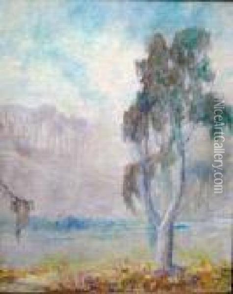Eucalyptus In Fog (no.38) Oil Painting - William Posey Silva