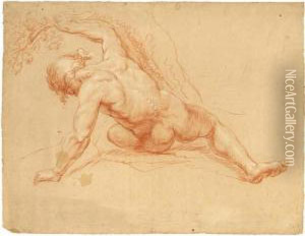 Male Nude, Seen From The Back Oil Painting - Daniel Ii Mytens