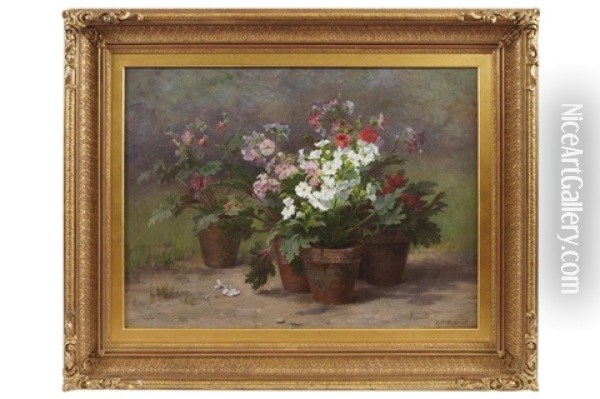 Flowers In Pots Oil Painting - Cecile Augustine Bougourd