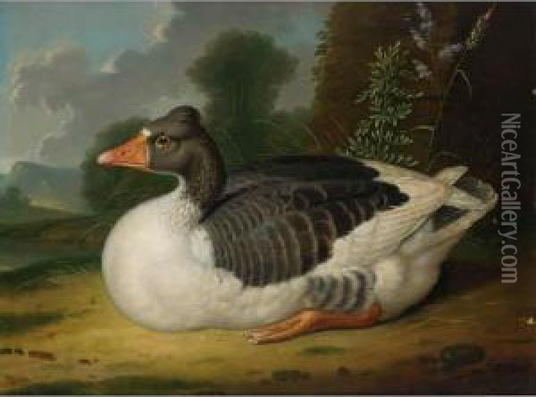A Goose In A Landscape Oil Painting - Jacob Samuel Beck