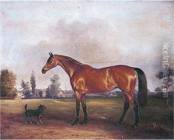 Epsom, A Favourite Hunter 
Belonging To Lady Eleanor Cecily Clifton Of Lytham Hall, Lancashire Oil Painting - John Snr Ferneley