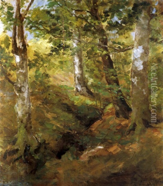 Im Wald Oil Painting - Olga Antonova Lagoda-Shishkina