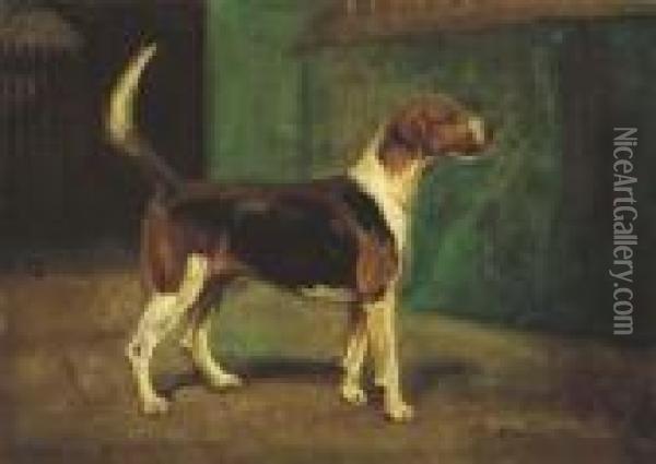 The Duke Of Rutland's Hound, Belvoir Weaver Oil Painting - Cuthbert Bradley