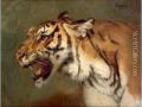 Tigre Oil Painting - Gustave Surand