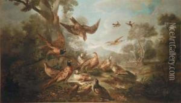 Paesaggio Con Uccelli Acquatici Oil Painting - Angelo Maria Crivelli, Il Crivellone