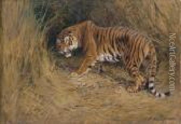 A Tiger On The Alert Oil Painting - William Arnold Woodhouse