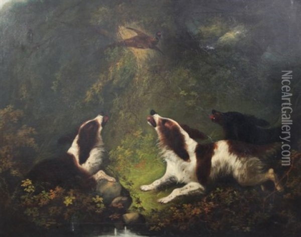 Spaniels Chasing A Pheasant Oil Painting - Edward Armfield