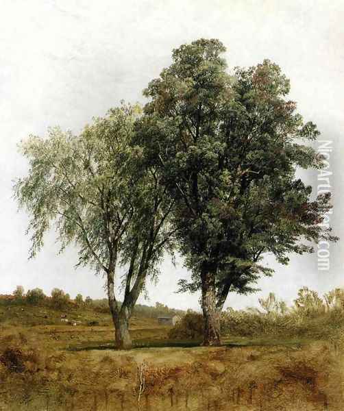 A Study Of Trees Oil Painting - John Frederick Kensett